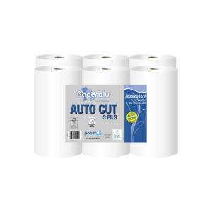 Carta asciugamani piegata R38M086-F